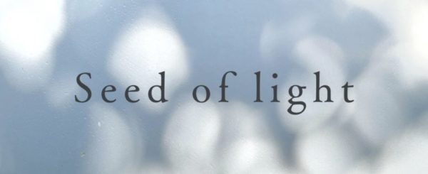 Seed of Light